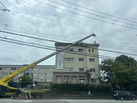 桜の木伐採１